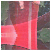 Rote Rosen von Liebe.... Stoff (Nahaufnahme)