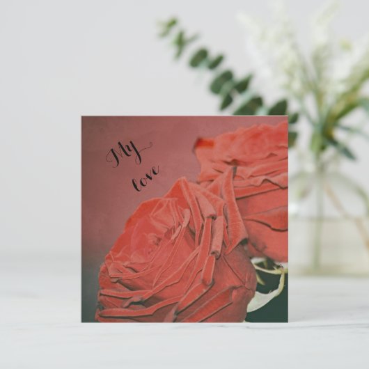 Rote Rosen wie Samt (Stehend Vorderseite)