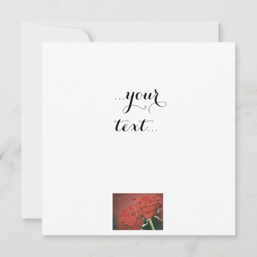 Rote Rosen wie Samt (Rückseite)