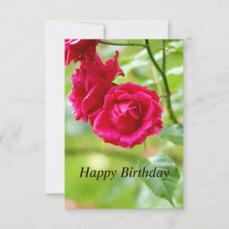 Rote Rosen zum Geburtstag Karte