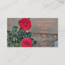 rote Rosen "Zwei Rose" Blütenblätter Blume Rote Bl