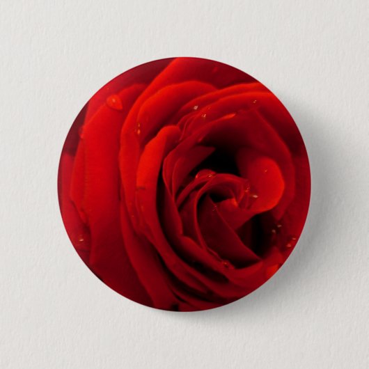 Rote Rosenblume Button (Vorderseite)