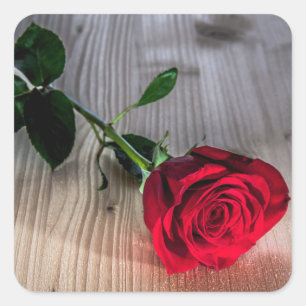 Rote Rosenblume Floral Rustikaler Holz Hintergrund Quadratischer Aufkleber