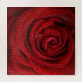 Rote Rosenblume Puzzle (Horizontal)