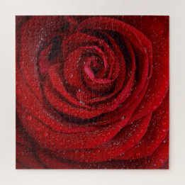 Rote Rosenblume Puzzle