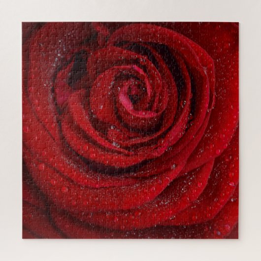 Rote Rosenblume Puzzle (Vertikal)