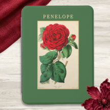 Rote Rosenblume Vintage-Botanische Kunst Personali