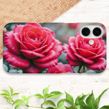 Rote Rosenblumen Elegante Blüten