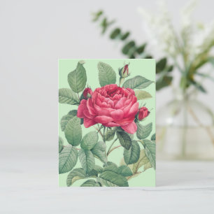 Rote Rosenblumen mit grünen Blättern DANKE Postkarte
