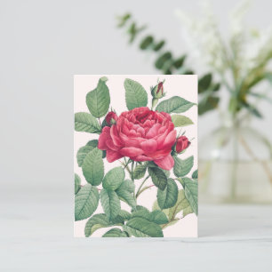 Rote Rosenblumen mit grünen Blättern DANKE Postkarte