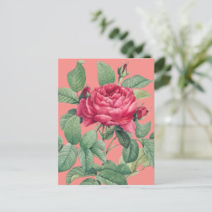 Rote Rosenblumen mit grünen Blättern DANKE Postkarte