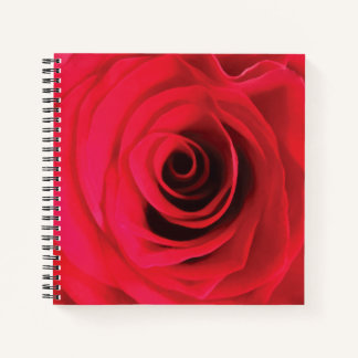 Rote Rosenblumendesign Notizblock