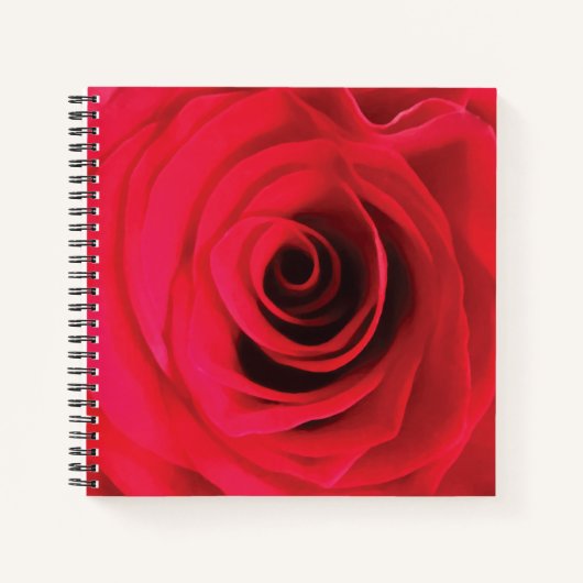 Rote Rosenblumendesign Notizblock (Vorderseite)