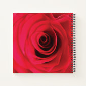 Rote Rosenblumendesign Notizblock (Rückseite)