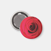 Rote Rosenblüten-Detail Magnet (Vorderseite/Rückseite)