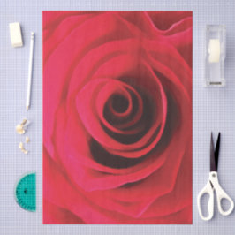 Rote Rosendetail, abstrakter Blumenschwung Seidenpapier