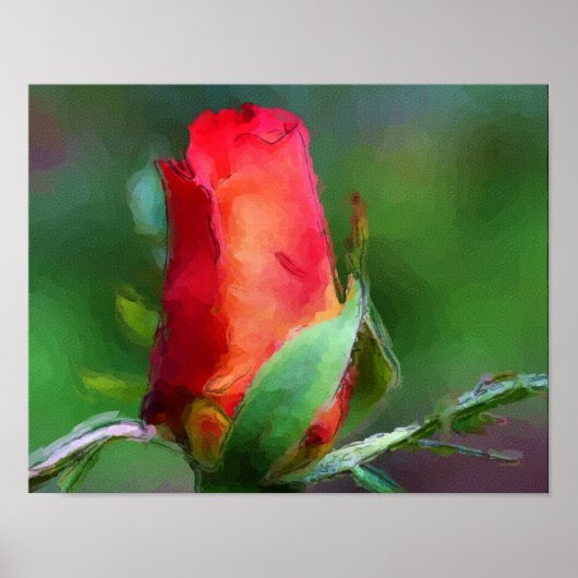 Rote Rosenknospe Blume Aquarellfarben Foto Malerei Poster (Vorne)