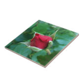 rote Rosenknospe Fliese (Seite)
