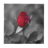 Rote Rosenknospefliese Fliese (Vorderseite)