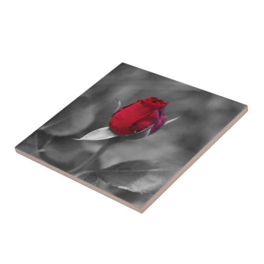 Rote Rosenknospefliese Fliese (Seite)