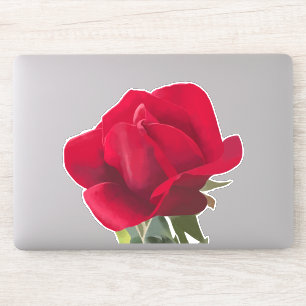 Rote Rosenquadrat - Rote Rose Aufkleber