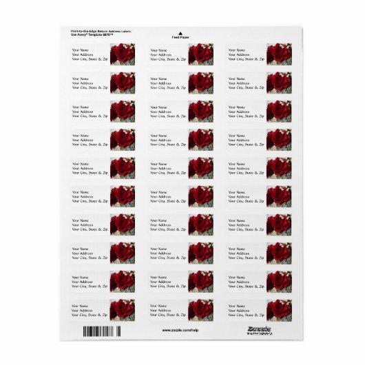 Rote Rote Rose (Vorne)