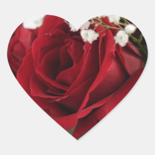 Rote Rote Rose - Herz geformt Herz-Aufkleber