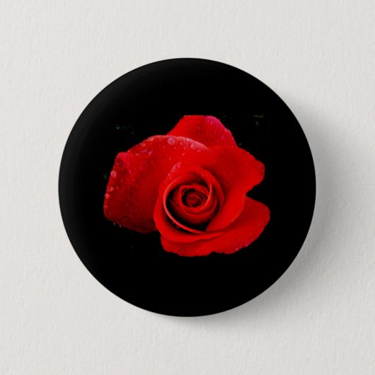 Rote Rote Rose Hochzeiten Elegante Blume Button (Vorderseite)
