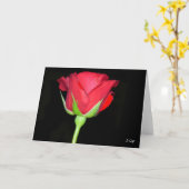 Rote Rote Rose Karte (Gelbe Blume)