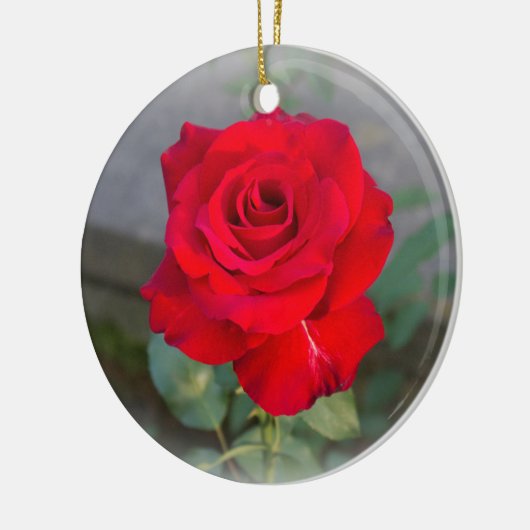 Rote Rote Rose Keramik Ornament (Links)