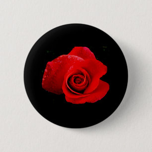 Rote Rote Rosen Hochzeiten Elegante Blume Button