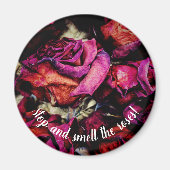 Rote Rote Rosen Magnet (Vorne)