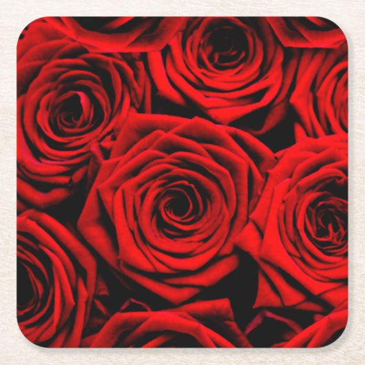 Rote Rote Rosen Papier Untersetzer (Vorderseite)