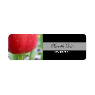 Rote Rote Tulpe