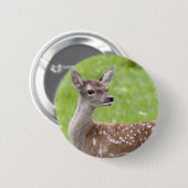 Rote Rotwild-Kitz-Abzeichen Button (Vorne & Hinten)