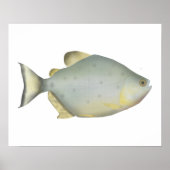 Rote Ruby-Piranha Poster (Vorne)