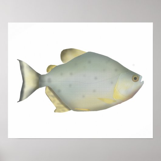 Rote Ruby-Piranha Poster (Vorne)