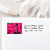 Rote Rücksendeadresse Poinsettias Floral (Insitu)