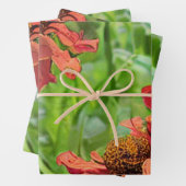 ROTE RUDBECKIA-BLÜTEN GESCHENKPAPIER SET (Beispiel)