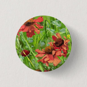 ROTE RUDBECKIENBLÜTEN BUTTON
