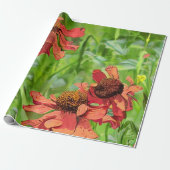 ROTE RUDBECKIENBLÜTEN GESCHENKPAPIER (Ungerollt)