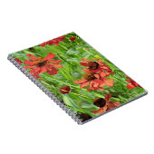 ROTE RUDBECKIENBLÜTEN NOTIZBLOCK (Rechte Seite)