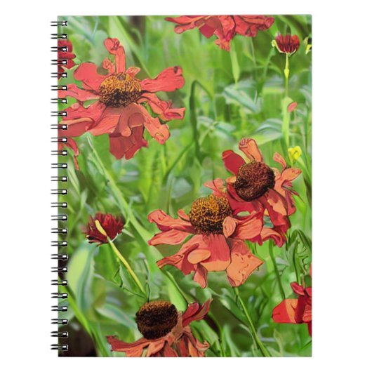 ROTE RUDBECKIENBLÜTEN NOTIZBLOCK (Vorderseite)