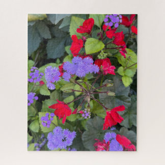 Rote Salvia und lila Ageratum, Quebec City Puzzle