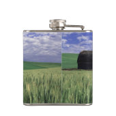 Rote Scheune auf dem Weizen- u. Gerstengebiet in Flachmann (Rückseite)