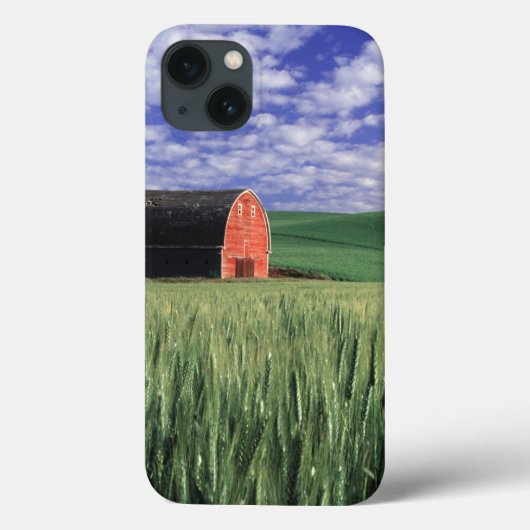Rote Scheune auf Weizen- und Gerstenfeld in Whitma Case-Mate iPhone Hülle (Rückseite)