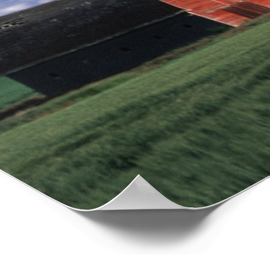 Rote Scheune auf Weizen- und Gerstenfeld in Whitma Poster (Ecke)