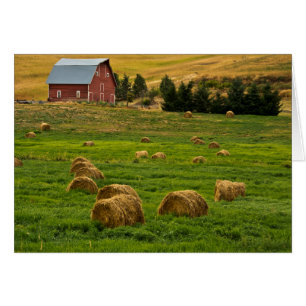 Rote Scheune, Heuballen, Albion, Palouse Gebiet 2