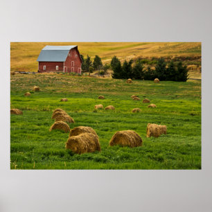 Rote Scheune, Heuballen, Albion, Palouse-Gebiet 2 Poster