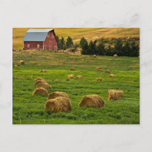 Rote Scheune, Heuballen, Albion, Palouse Gebiet 2 Postkarte